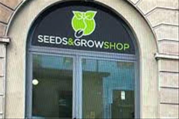 SeedseGrowshop