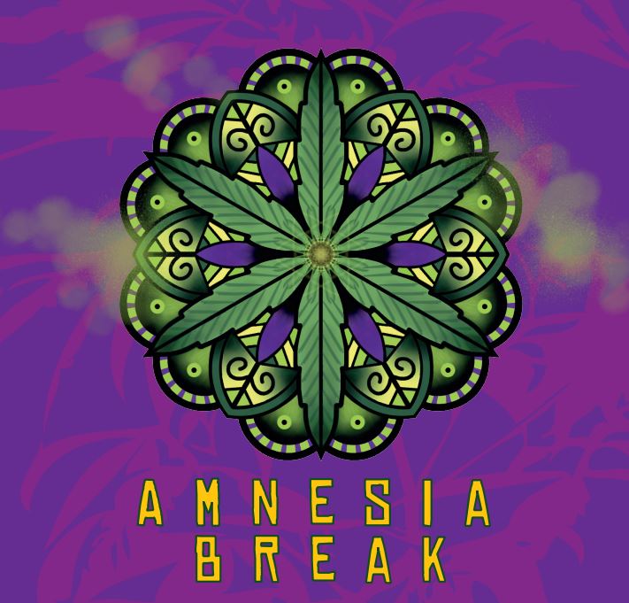 Amnesia Break