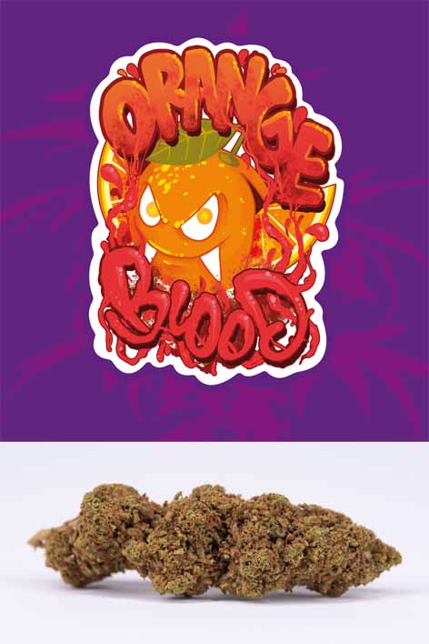 Blood Orange
