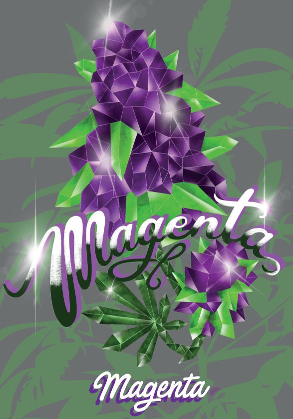 Magenta