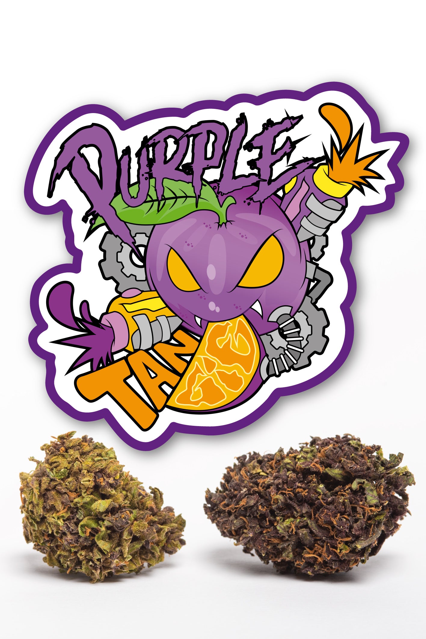 Purple Tangie